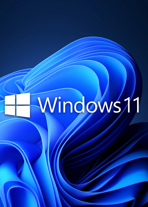 MS Windows 11 Pro OEM GLOBAL KEY