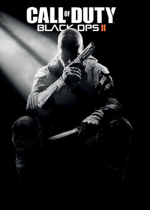 Call Of Duty Black Ops 2 Steam CD Key